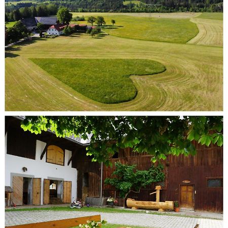 Ferien Am Land - Waldbauer Appartement Rossleithen Buitenkant foto