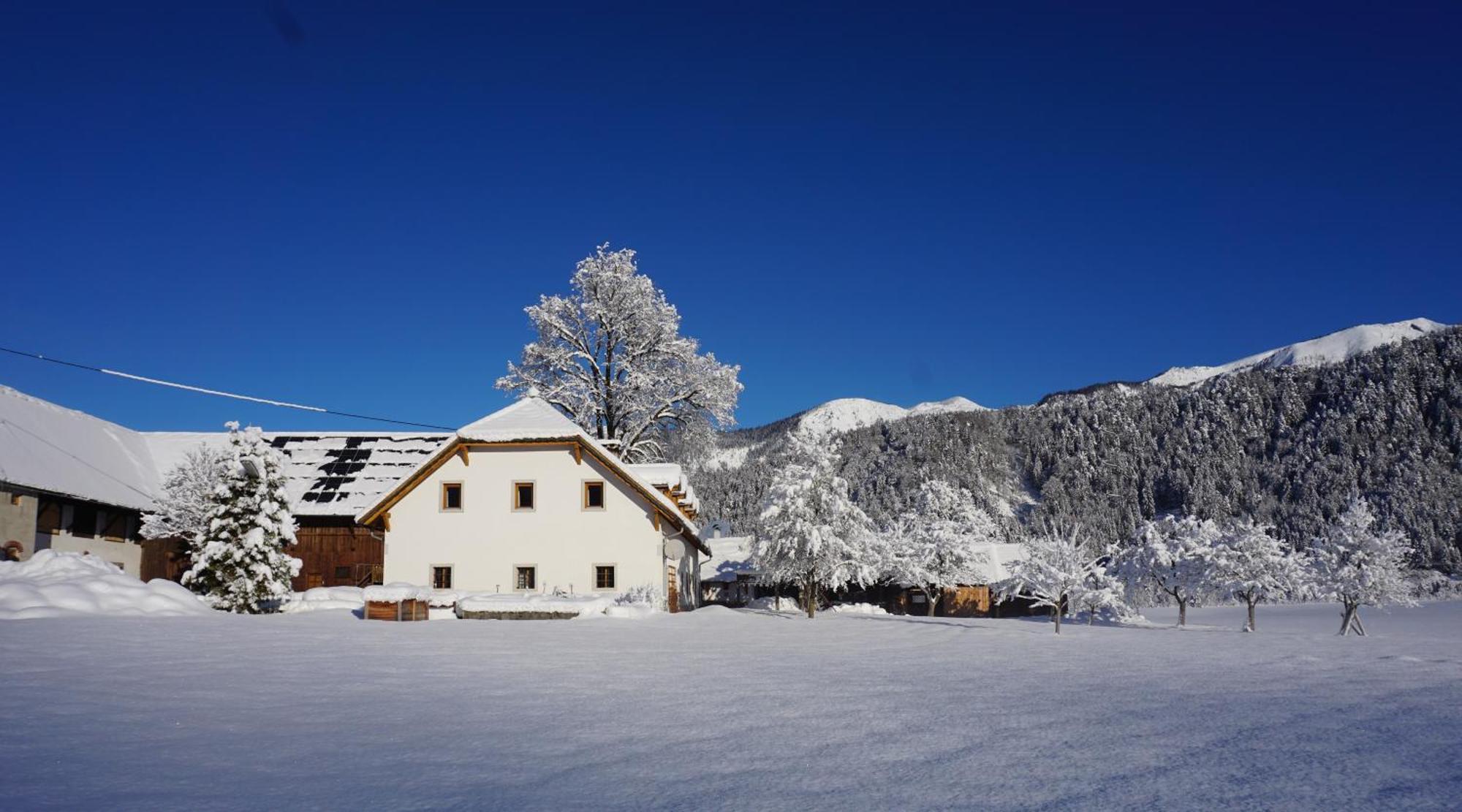 Ferien Am Land - Waldbauer Appartement Rossleithen Buitenkant foto