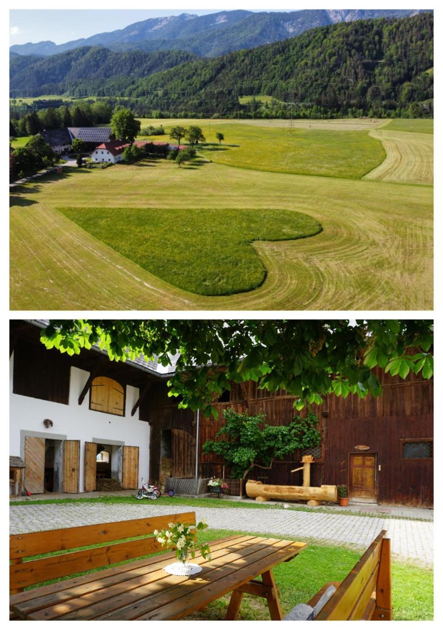 Ferien Am Land - Waldbauer Appartement Rossleithen Buitenkant foto